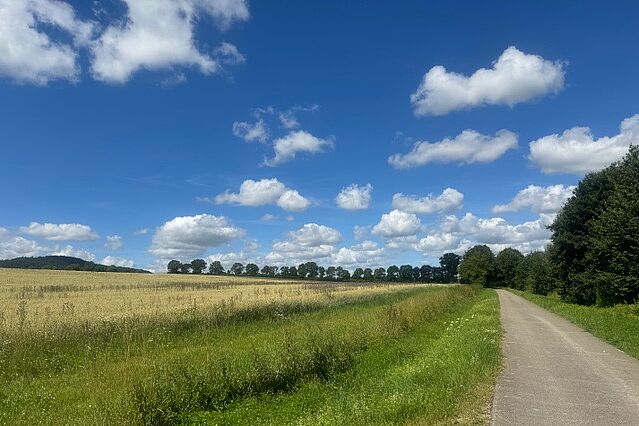 Unterwegs zwischen Feld und Wald Unterwegs zwischen Feld und Wald
